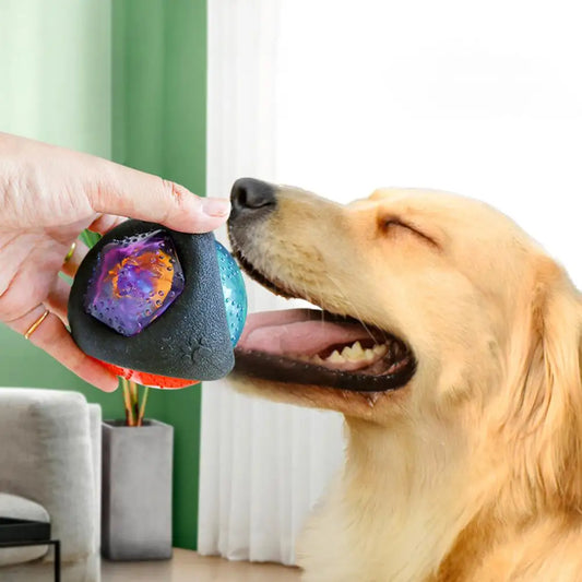 Flashing LED Dog Ball