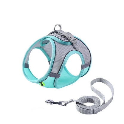 Adjustable Dog Harness with Leash