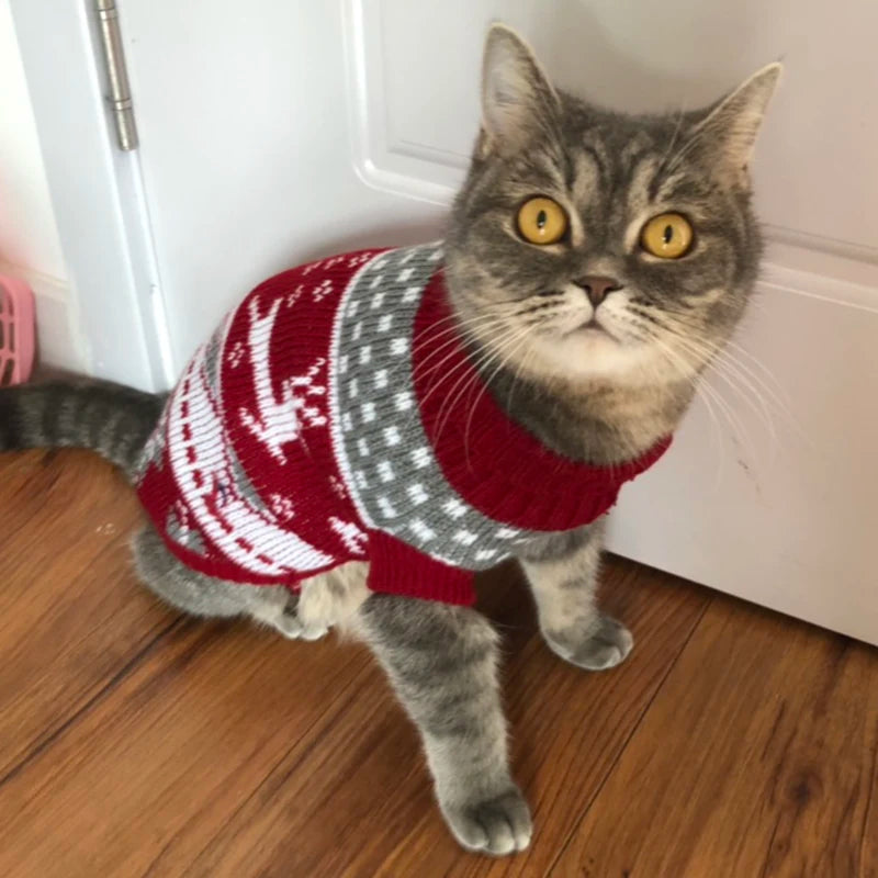 Cute Cat Sweater Costume