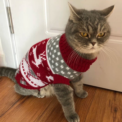 Cute Cat Sweater Costume