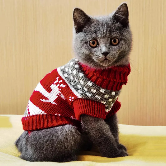 Cute Cat Sweater Costume