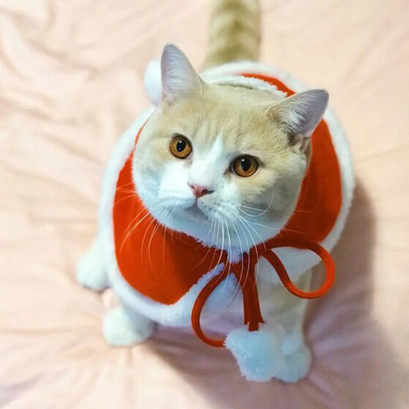 Santa Cat Costume Cosplay Cape