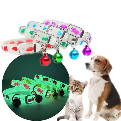 Glow-in-the-Dark Cat Collar with Bells