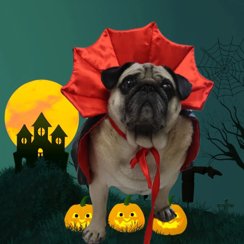 Creative Pet Halloween Cloak