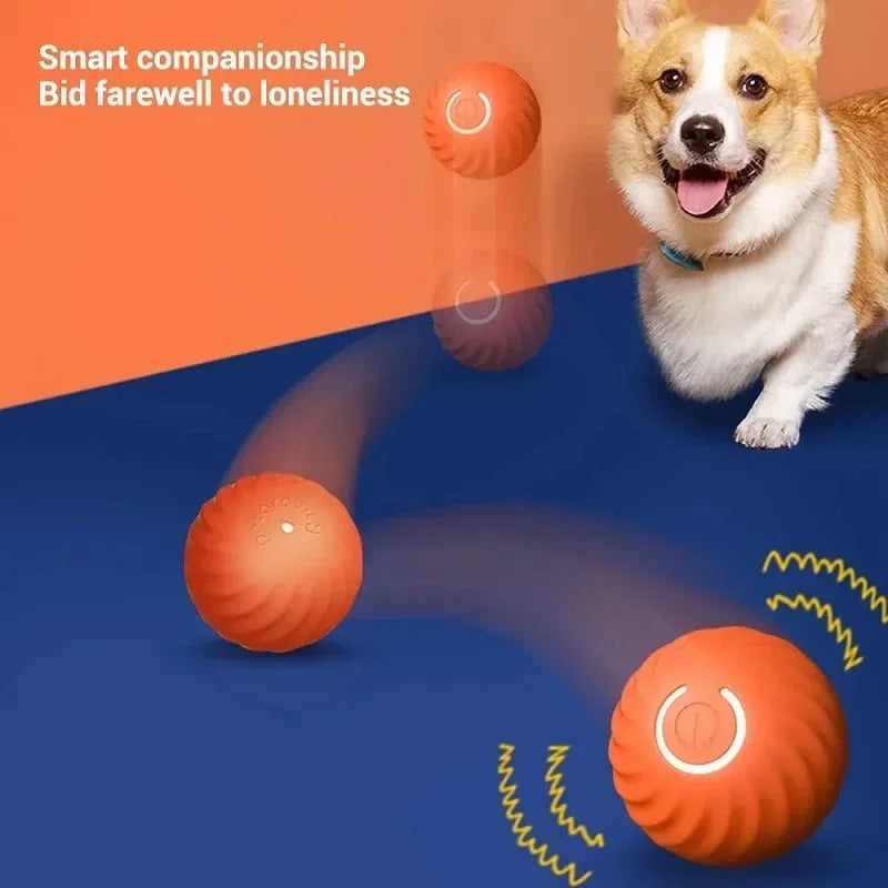 Smart Interactive Bouncing Ball for Dogs