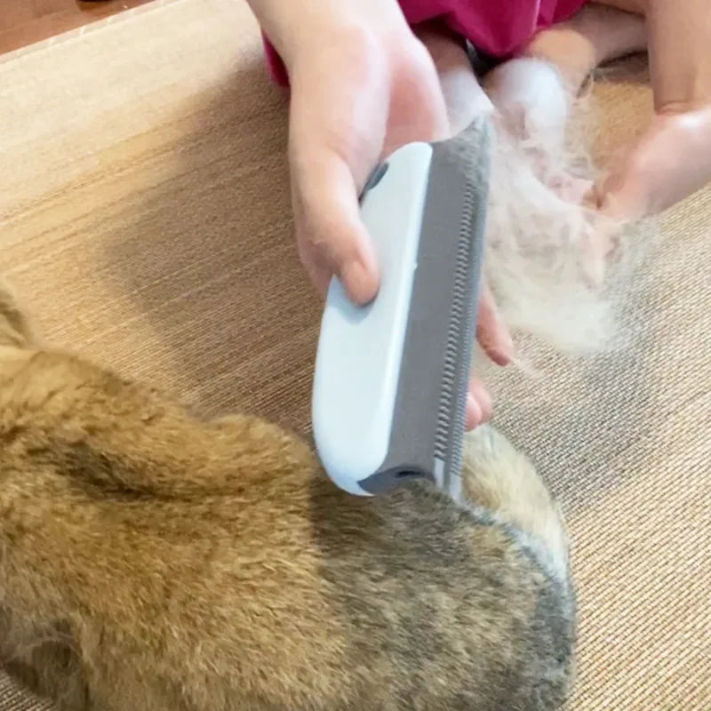 New Cat Brush