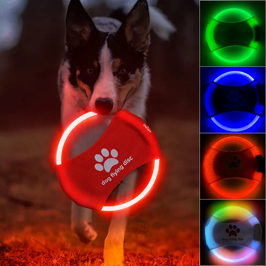 LED Dog Flying Discs