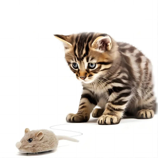 Rechargeable Motion Mouse Cat Toy