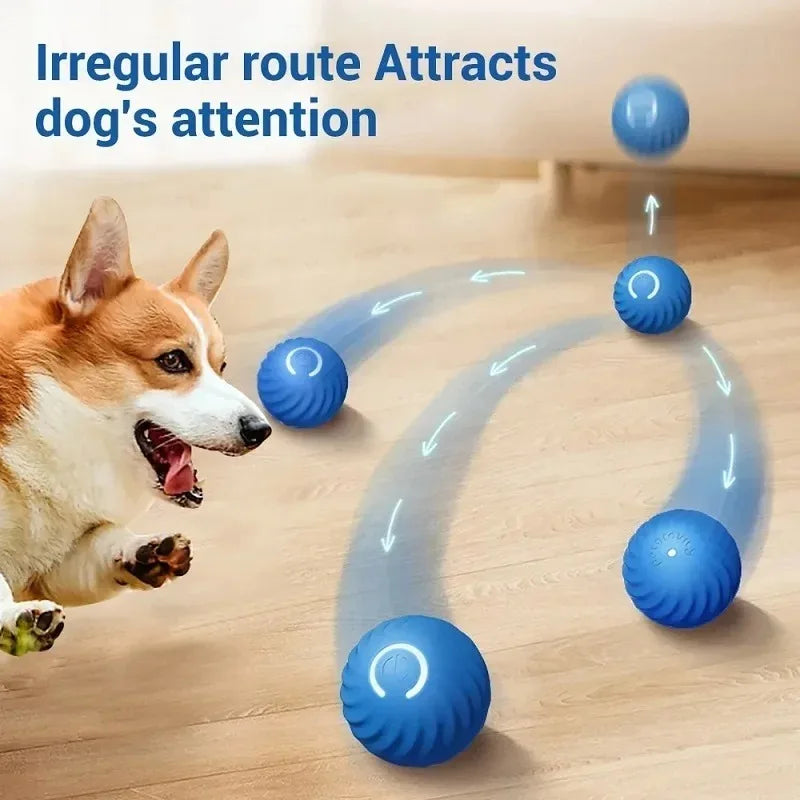 Smart Interactive Bouncing Ball for Dogs