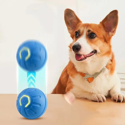 Smart Interactive Bouncing Ball for Dogs