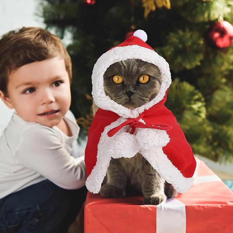 Santa Cat Costume Cosplay Cape