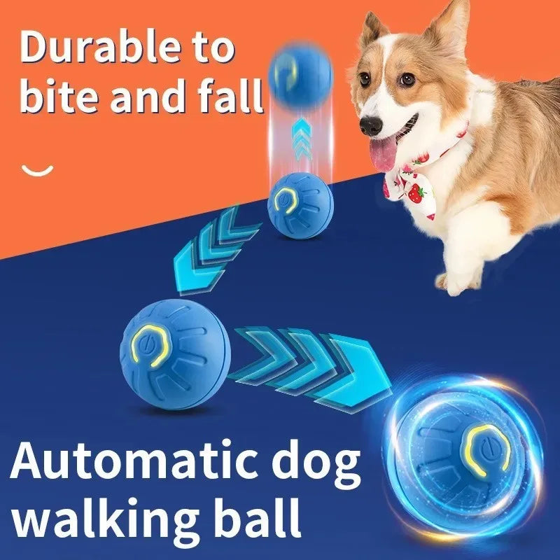 Smart Interactive Bouncing Ball for Dogs