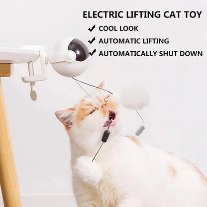 Electronic Motion YoYo Cat Toy